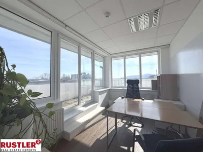 6-Zimmer-Gewerbeimmobilie mieten in Mödling – 250 m², € 5.340 – Bild 2 von 5