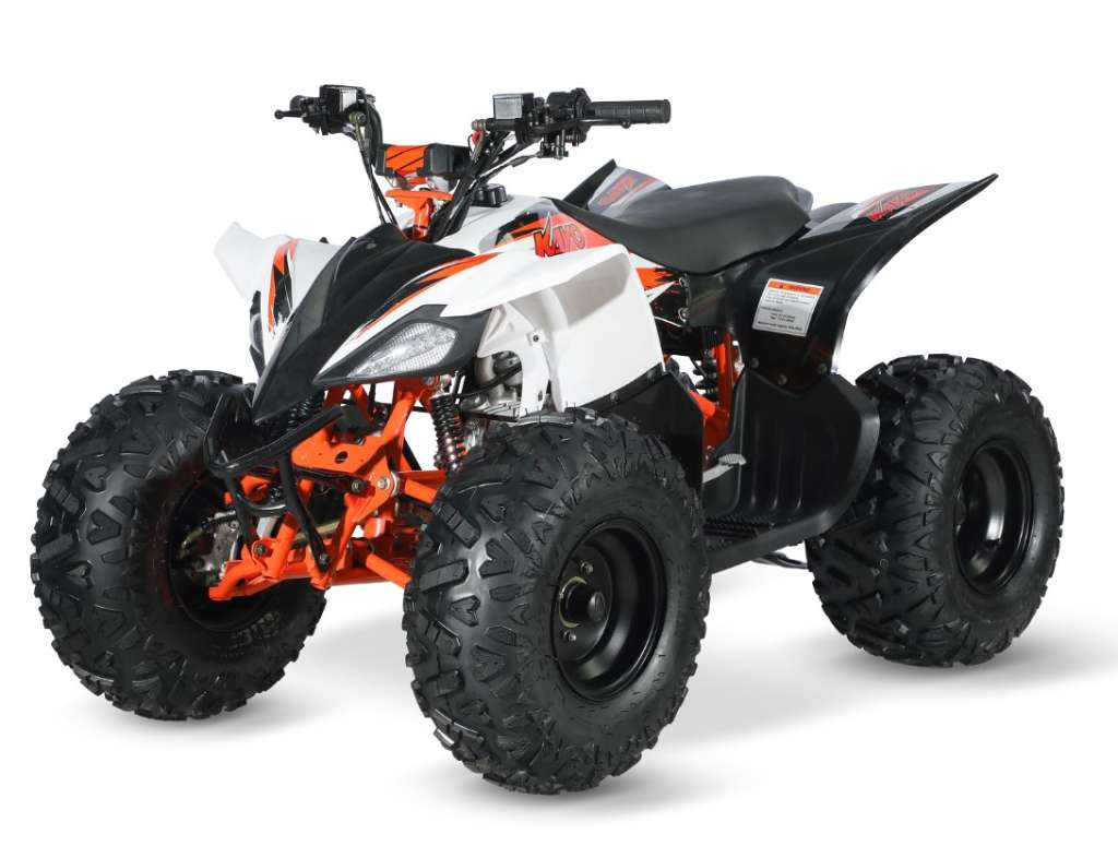 Kayo KINDERQUAD 110 ccm bei Quad Area Quad