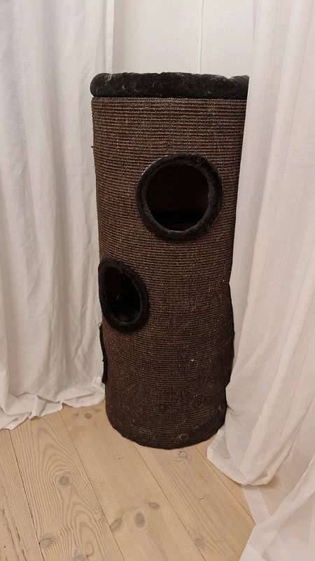 hundebett erhht xxl Hundebett Emma orthopdisch