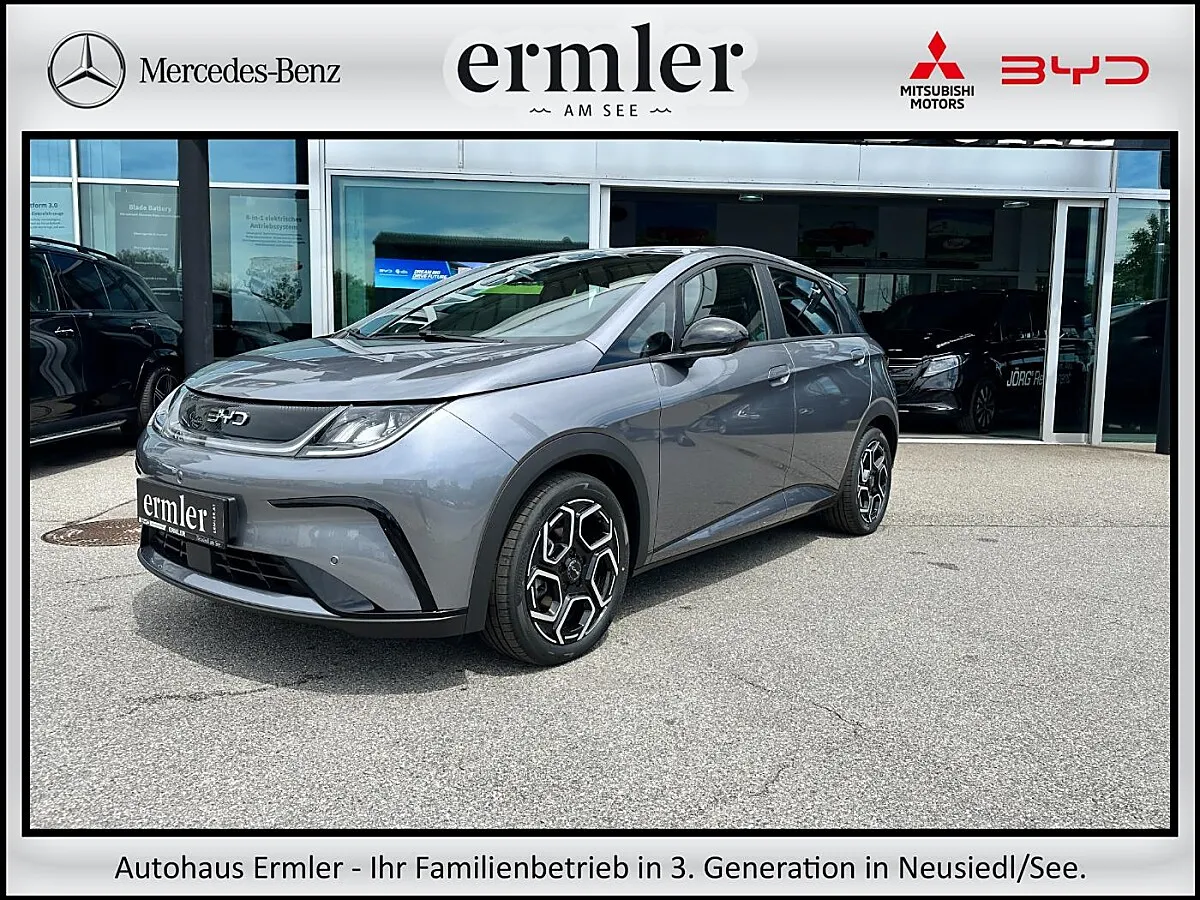 BYD Dolphin 2025 COM
