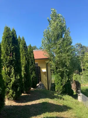 10-Zimmer-Immobilie kaufen in Leibnitz – 300 m², € 850.000 – Bild 58 von 69