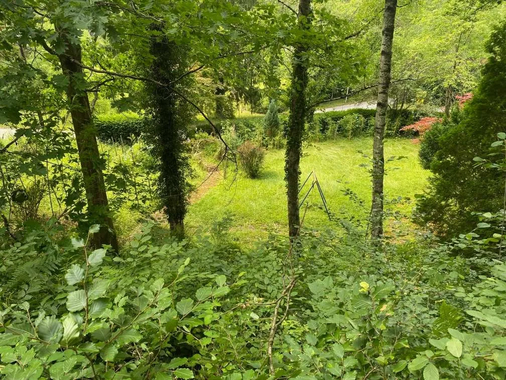Baugrundstück mit Wald in abs. Stadtnähe - Prikaz 3