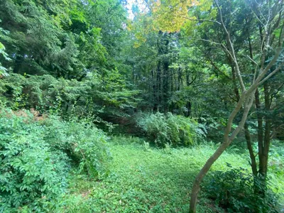 Grundstück kaufen in Graz – 3 693 m², € 491.000 – Bild 4 von 8