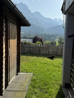 6-Zimmer-Gewerbeimmobilie kaufen in Zell am See – 1 029 m², € 960.000 – Bild 2 von 23