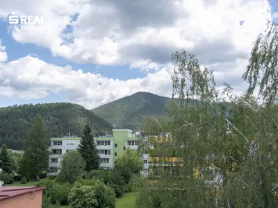 3-Zimmer-Wohnung kaufen in Wiener Neustadt Land – 80,47 m², € 150.000 – Bild 4 von 14