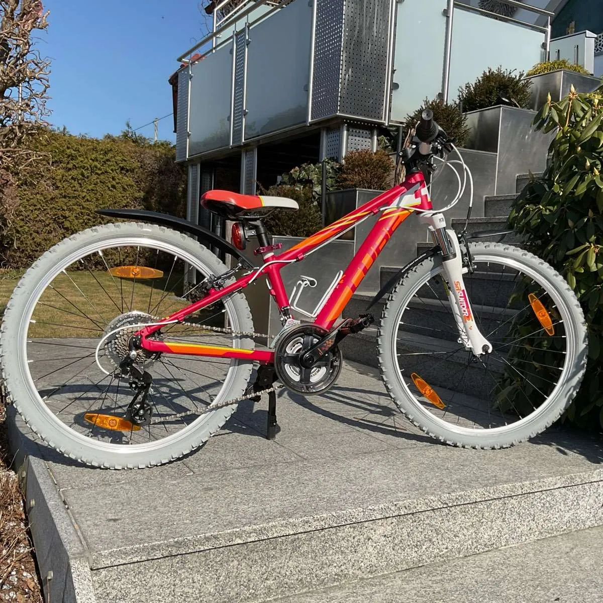 fahrrad kaufen bulls Iconic Evo TR1 E-Bike Generalüberholt aus zweiter Hand E-Bike – H&B Exclusive Kinder Fahrrad Pegasus Avanti Rahmen-Damen Condition:Used