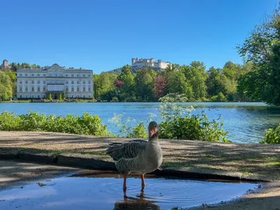 3-Zimmer-Wohnung kaufen in Salzburg Stadt – 90 m², € 795.000 – Bild 11 von 19