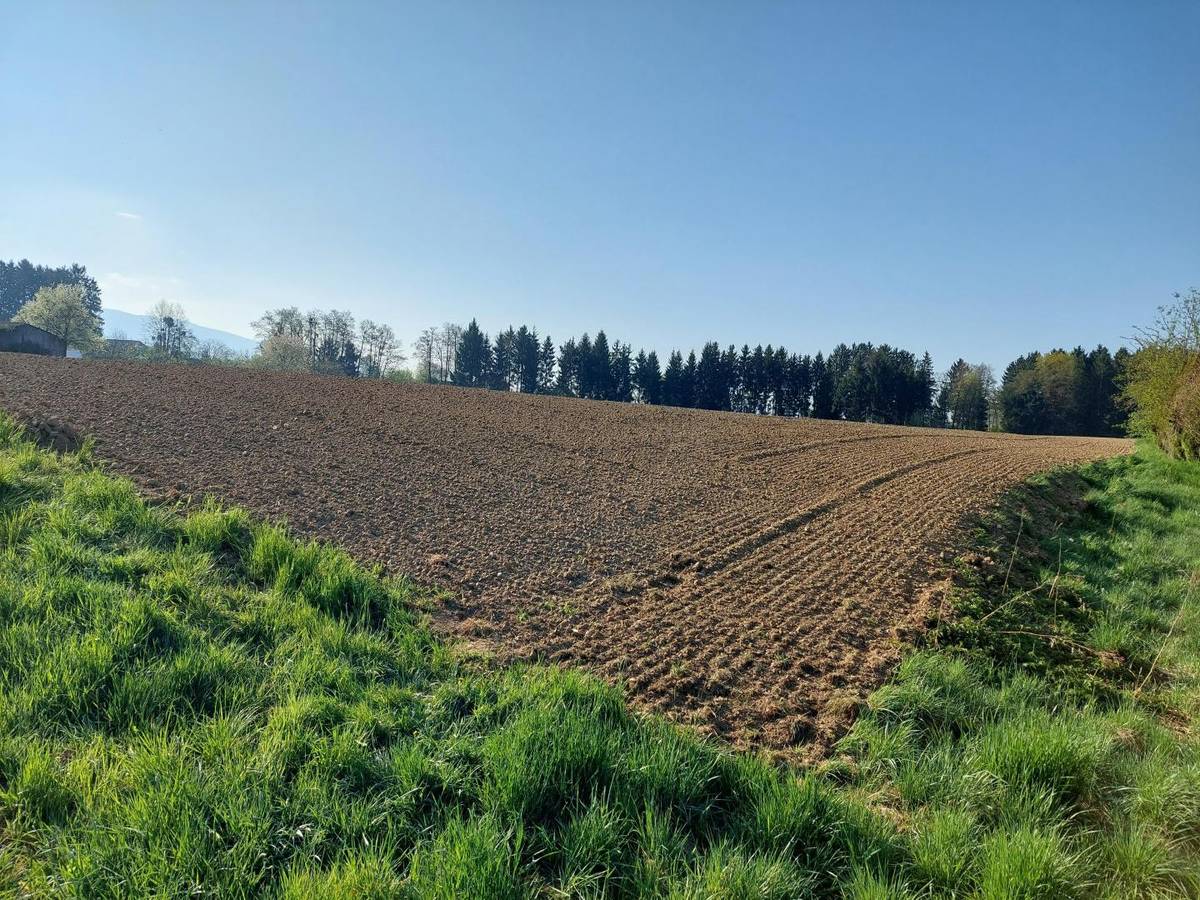 9431 Stefan/Völking Wunderschöner Baugrund, St. Stefan