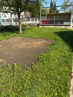 2-Zimmer-Wohnung mieten in Sankt Pölten Land – 48 m², € 550 – Bild 9 von 9