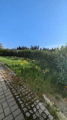 Wohnung mieten in Rohrbach – 82 m², € 762 – Bild 5 von 16