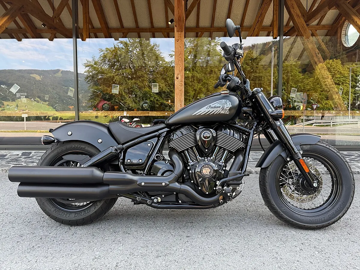 Indian Chief