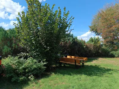 Wohnung kaufen in Gmunden – 31 m², € 119.000 – Bild 9 von 10