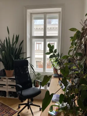 22,5 qm WG Zimmer - direkt Karlsplatz - 698 EUR in 5er Ü40 WG + 3 Katzen zum 1.11 – Bild 3
