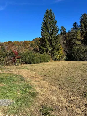 Grundstück kaufen in Graz-Umgebung – 1 239 m², € 265.000 – Bild 1 von 4