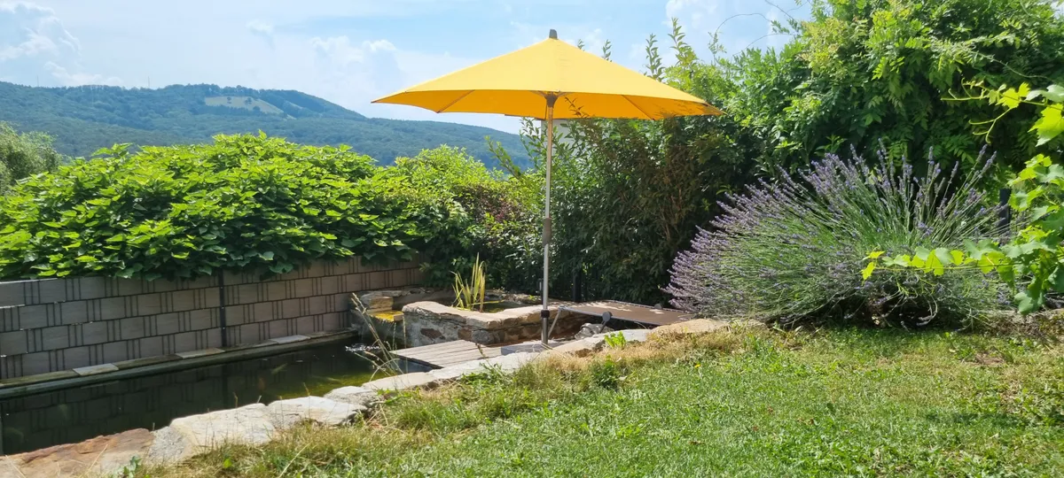 Exklusives Wohlfühlhaus in unverbaubarer Südhanglage mit Panoramablick über die Hügellandschaft des Wienerwaldes - Widok 2
