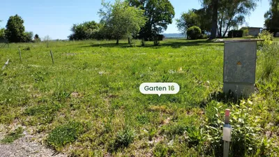 Immobilie mieten in Waidhofen an der Thaya – 144 m², € 134 – Bild 4 von 8