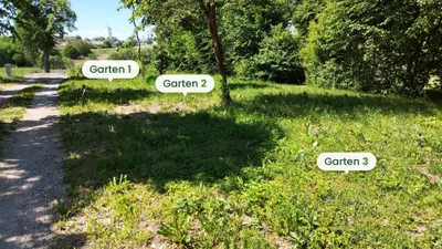 Immobilie mieten in Waidhofen an der Thaya – 144 m², € 134 – Bild 3 von 8