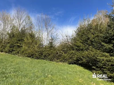 Grundstück kaufen in Urfahr-Umgebung – 969 m², € 135.000 – Bild 3 von 8
