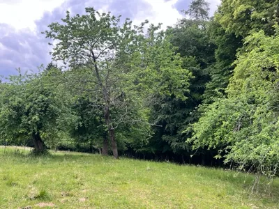 2-Zimmer-Immobilie kaufen in Leibnitz – 52 m², € 499.000 – Bild 18 von 44