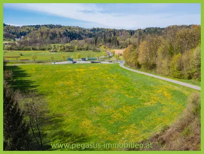 Grundstück kaufen in Südoststeiermark – 21 138 m², € 243.087 – Bild 1 von 5