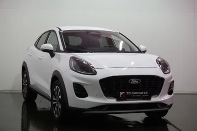 Ford Puma 1,0 EcoBoost Hybrid Titanium / Navi / groß...