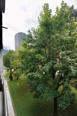1-Zimmer-Wohnung mieten in Innsbruck – 58 m², € 950 – Bild 13 von 13