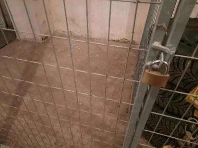 1-Zimmer-Wohnung mieten in Graz – 31 m², € 339 – Bild 44 von 53