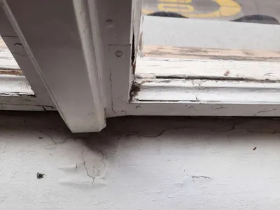 1-Zimmer-Wohnung mieten in Graz – 31 m², € 339 – Bild 17 von 53