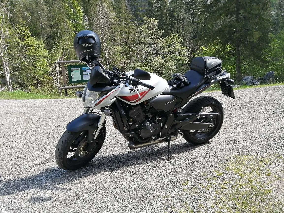 Honda Hornet