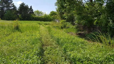 Grundstück mieten in Korneuburg – 259 m², € 400 – Bild 2 von 4