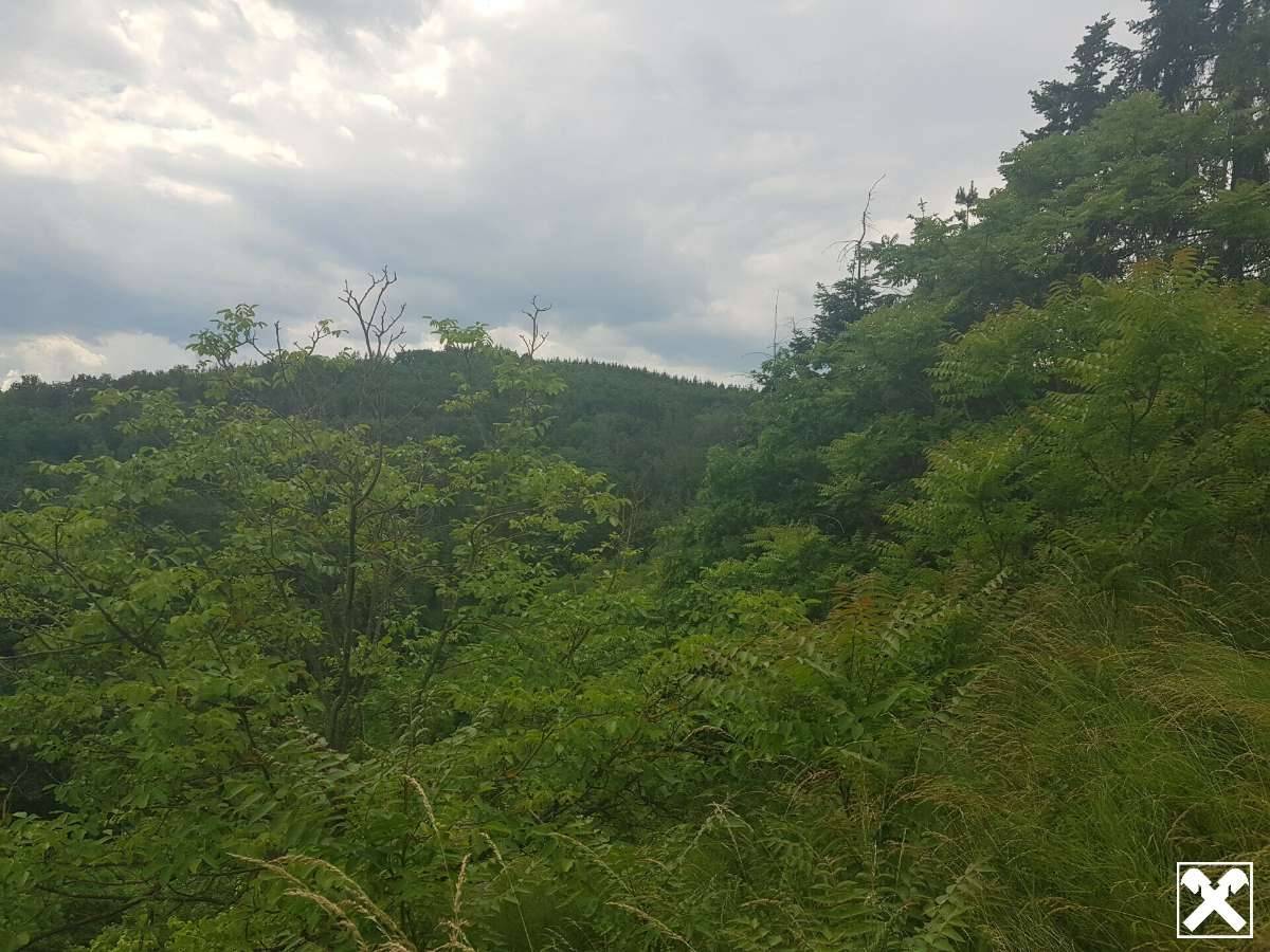 FREIZEITPARADIES FÜR HOBBYGÄRTNER IN EINZIGARTIGER AUSSICHTSLAGE MIT DONAUBLICK - KEIN BAUGRUNDSTÜCK! - Ansicht 2