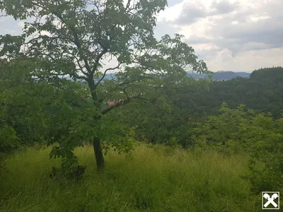 Grundstück kaufen in Krems an der Donau – 3 489 m², € 60.000 – Bild 6 von 12
