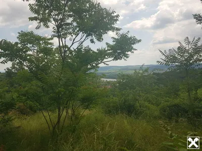 Grundstück kaufen in Krems an der Donau – 3 489 m², € 60.000 – Bild 4 von 12