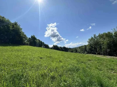 Gewerbeimmobilie kaufen in Deutschlandsberg – 1 751 m², € 199.000 – Bild 10 von 11