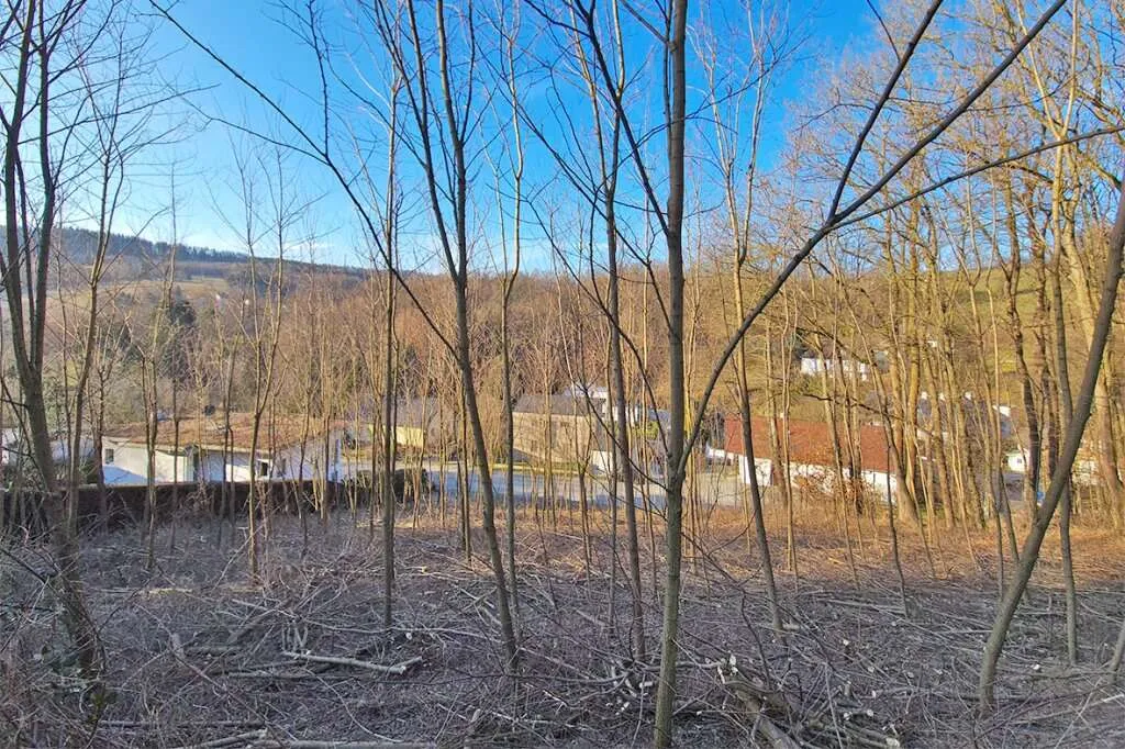 Sonniges Baugrundstück auf Südwest-Lage im Irenental – pohled 2