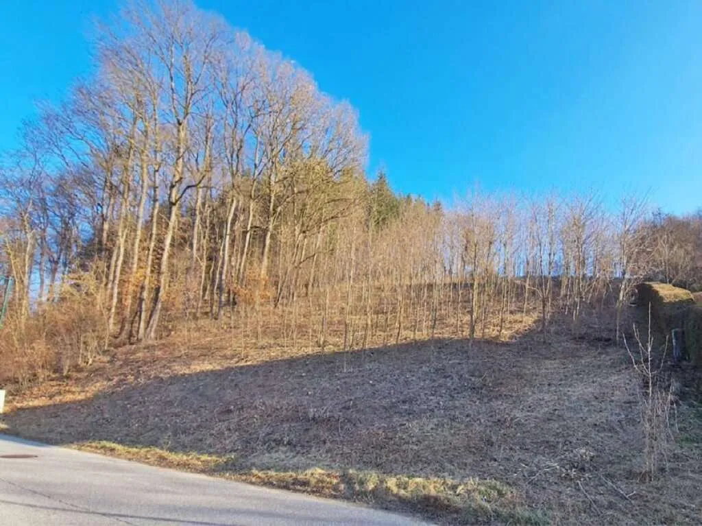 Sonniges Baugrundstück auf Südwest-Lage im Irenental – pohled 3