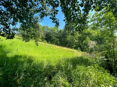 Grundstück kaufen in Kirchdorf an der Krems – 8 778 m², € 575.000 – Bild 9 von 12