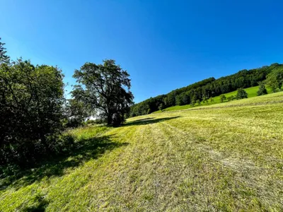 Grundstück kaufen in Kirchdorf an der Krems – 8 778 m², € 575.000 – Bild 10 von 12