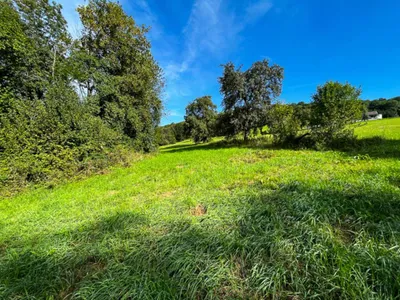 Grundstück kaufen in Kirchdorf an der Krems – 8 778 m², € 575.000 – Bild 2 von 12