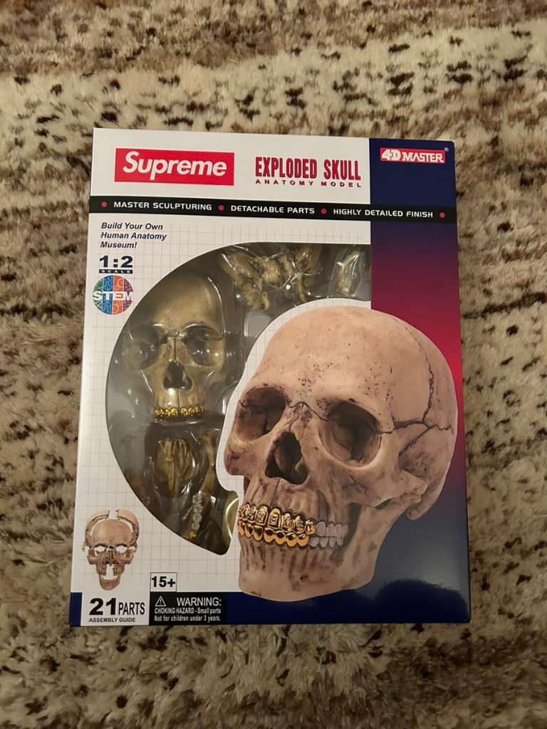 Supreme 4D model human skull - その他