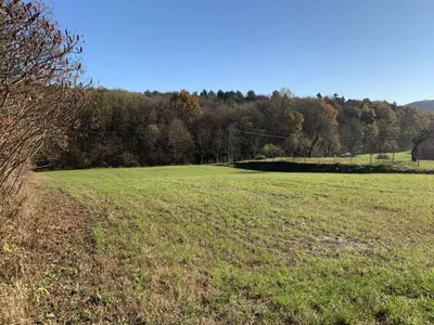 Grundstück kaufen in Jennersdorf – 4 211 m² – Bild 5 von 6