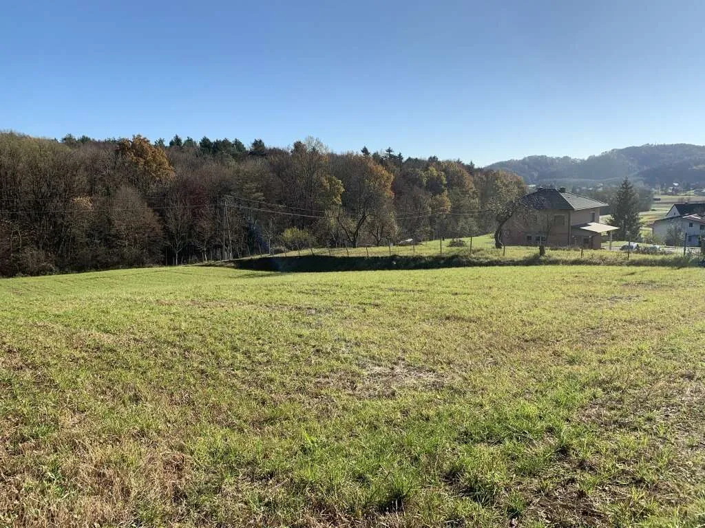 Baugrundstück, Toplage, leichte Süd-Hanglage, Nähe Loipersdorf und Jennersdorf - Ansicht 2
