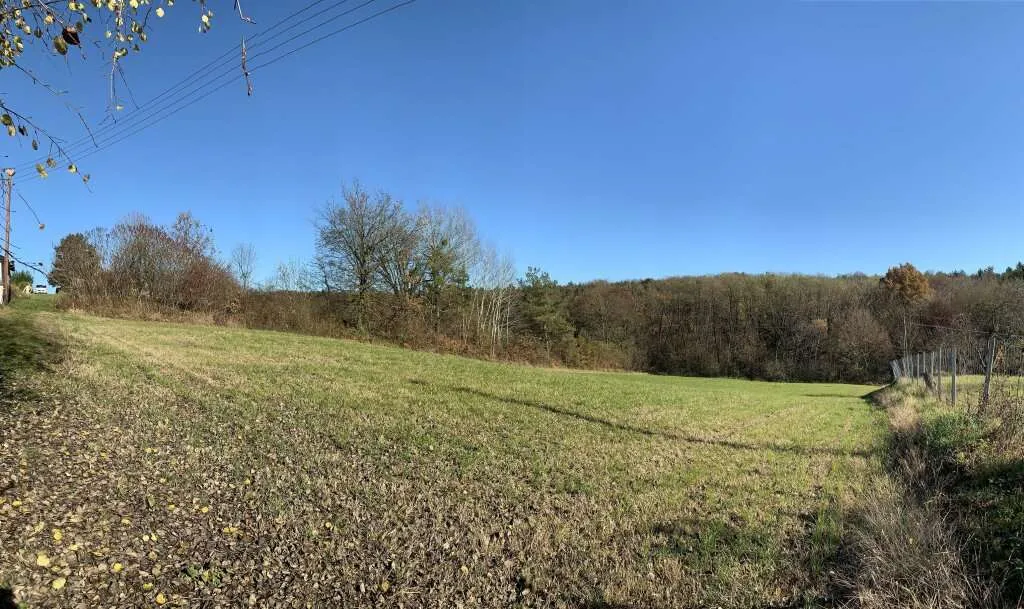Baugrundstück, Toplage, leichte Süd-Hanglage, Nähe Loipersdorf und Jennersdorf - Ansicht 3