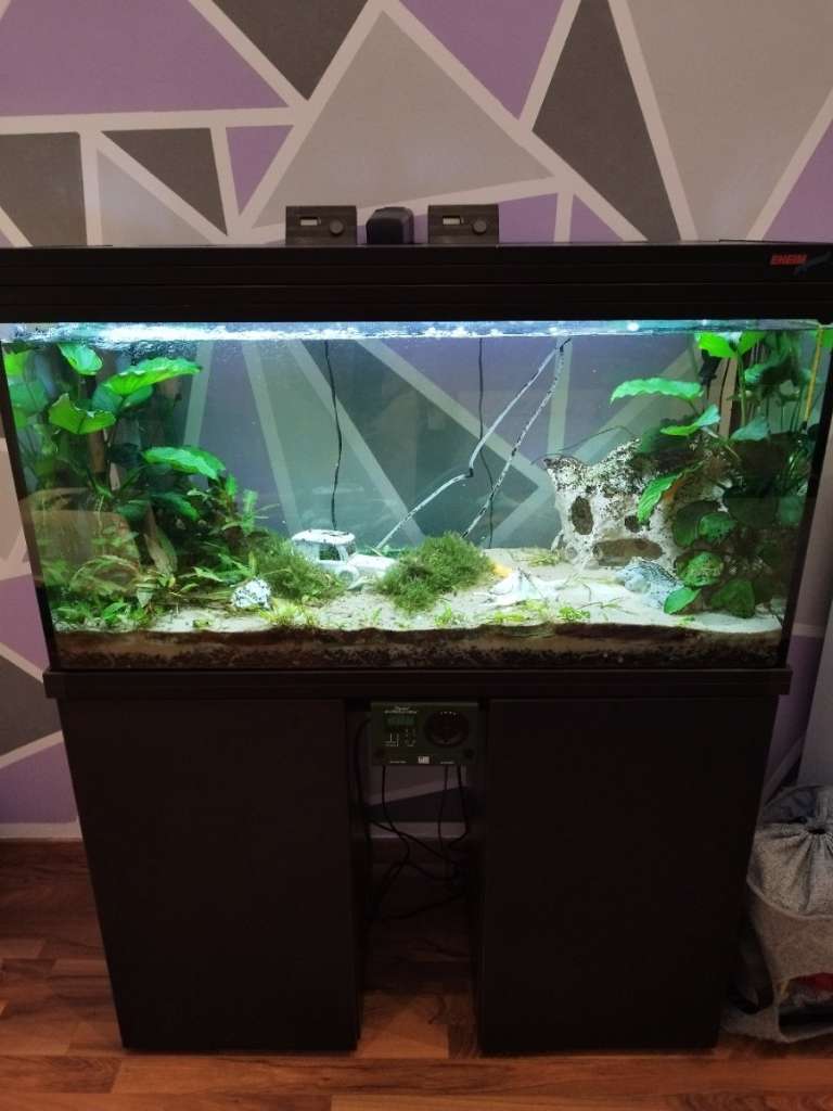 Online Aquarium 200 Liter mit Unterschrank und Zubehör