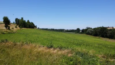 Grundstück kaufen in Linz Land – 2 732 m², € 295.000 – Bild 13 von 13