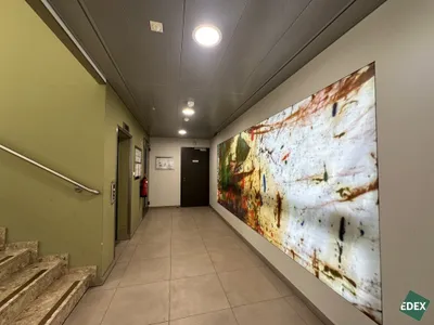 Gewerbeimmobilie mieten in Wien – 150 m², € 2.915 – Bild 10 von 13