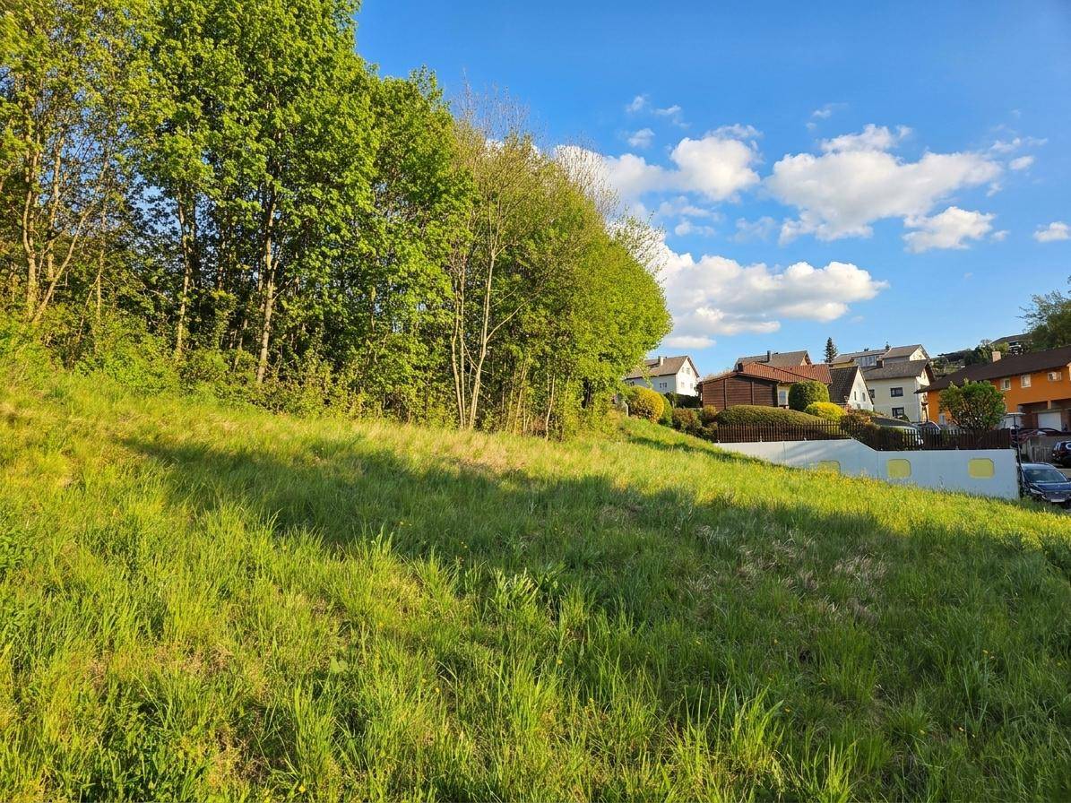 Grundstück in sonniger Lage in Luftenberg, ohne Baupflicht - Ansicht 3