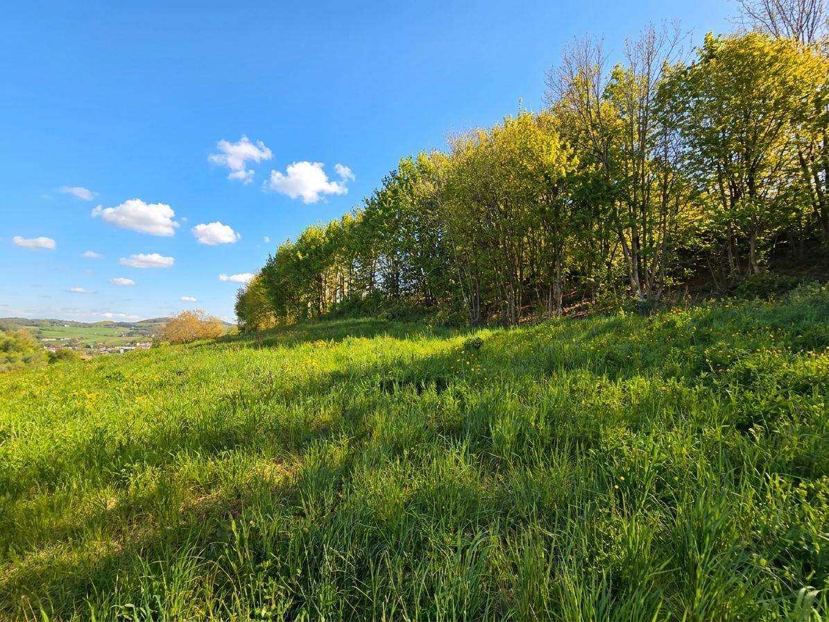 Grundstück in sonniger Lage in Luftenberg, ohne Baupflicht - Ansicht 2