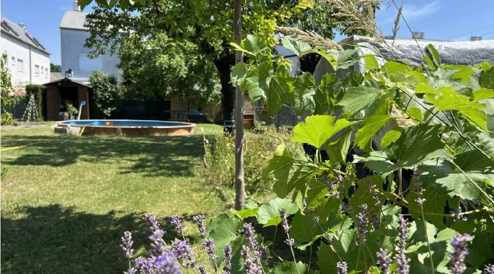 Modernes Haus in Ruhelage und Nähe zu Lobau und Seestadt – pohled 2