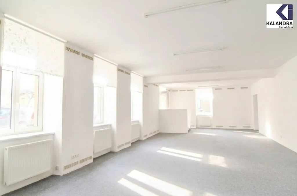 GESCHÄFTLOKAL / BÜRO IN ERDBERG - Ansicht 2